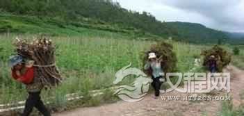 普米族农业普米族农业发展史简介