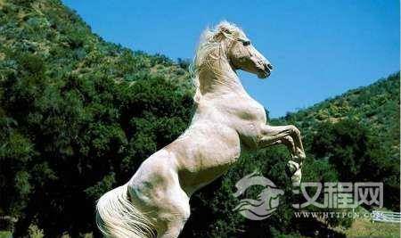 中国历史上有哪些“名马”:名马也要配名将