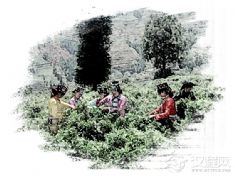 达古达楞格莱标