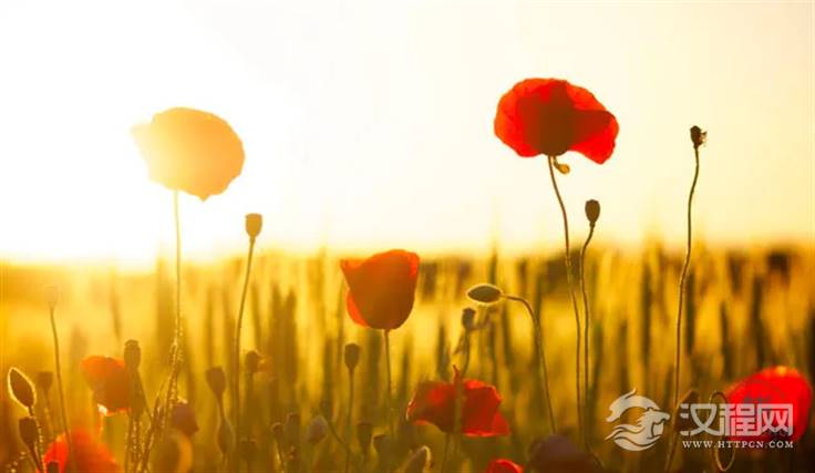 18122ef167df48c78a98d0ba00561231.png 18122ef167df48c78a98d0ba00561231.png