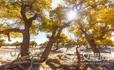 明代建筑石刻艺术的杰作——真觉寺金刚宝座塔