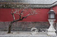 《易经》《皇帝内经》《道德经》传统文化的根源是什么?