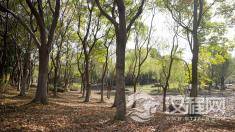 王阳明的心学之“心”与道家、佛家之“心”是否相同?