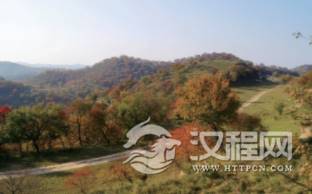 1595383803412172.png image.png