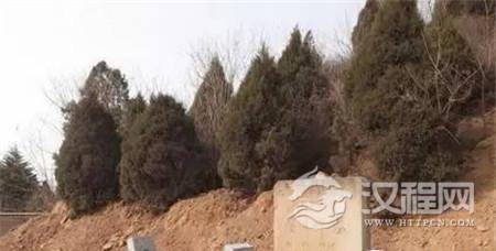 1493089963529833.jpg d82dd680181147a498eaea27194643d9.jpg