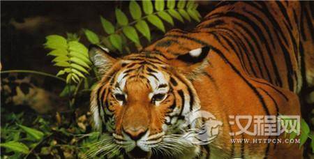 1487062934523293.jpg 8-16060616350TA.jpg