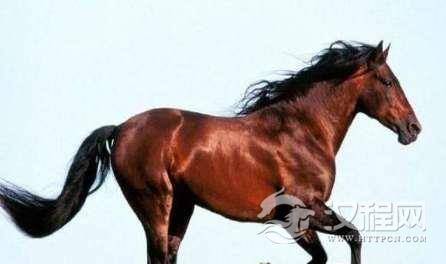 1517196075422564.png blob.png