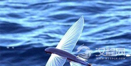 1486627295837675.jpg 6619338175654065373.jpg