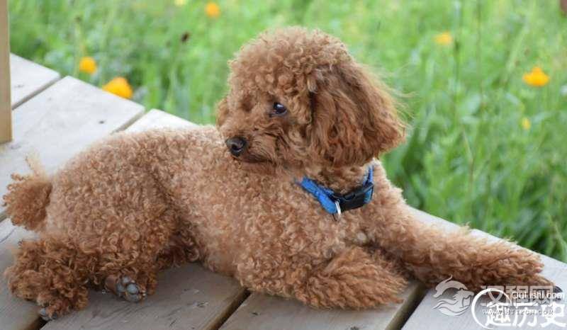 1516241010537490.png blob.png