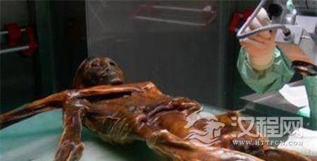 1483933501854617.jpg 1.jpg