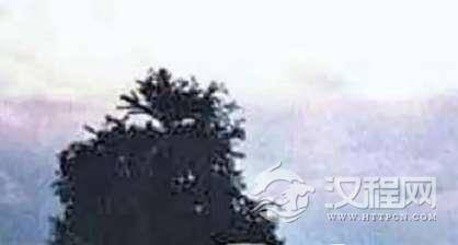 1515395645874047.png blob.png