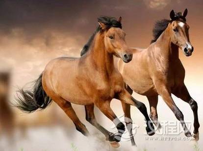 1581564681178747.png image.png