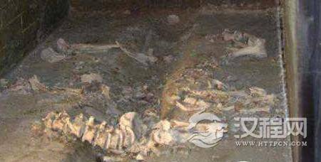 1497595344394622.jpg 3.jpg