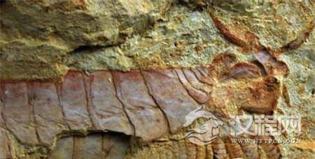 1490493650277352.jpg 501225148.jpg@100q.jpg