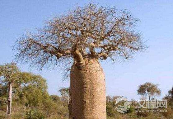 1515981673989617.jpg 2_171020165830_1.jpg