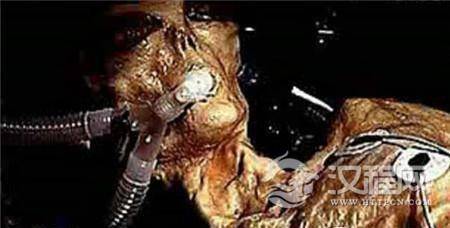 1495011921364767.jpg 20121231082646_KVEFW.thumb.700_0.jpg