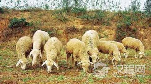 1515985078515463.png blob.png