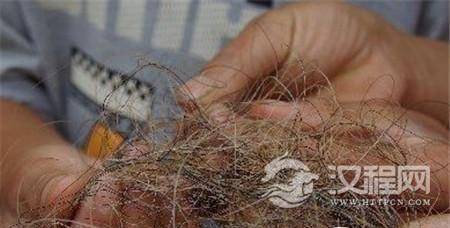 1485160415835978.jpg 20161023110153210.jpg