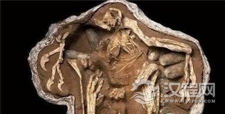 1486277201436188.jpg 451029_1.jpg