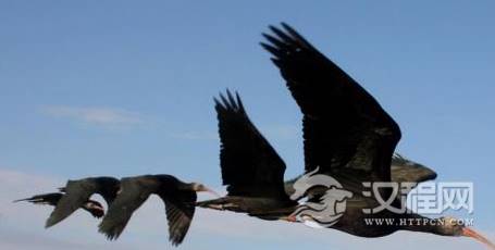 1591842930811237.png image.png