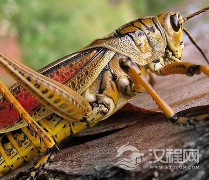 1576647778131739.png image.png