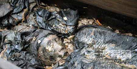 广东惠州明朝干尸 广东惠州明朝干尸