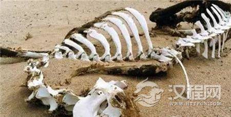 1484040395615698.jpg 1.jpg