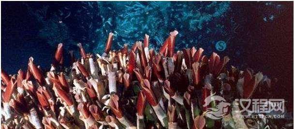 1517822995166418.png 20180205172944.png