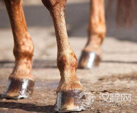 1572934797622041.png image.png