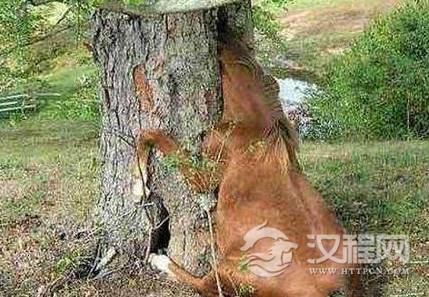 1600487024225203.png image.png