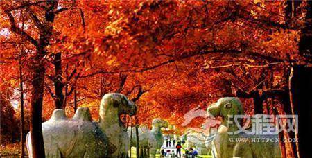 1503971663544346.jpg 19f30004ab13bc5dafc1.jpg