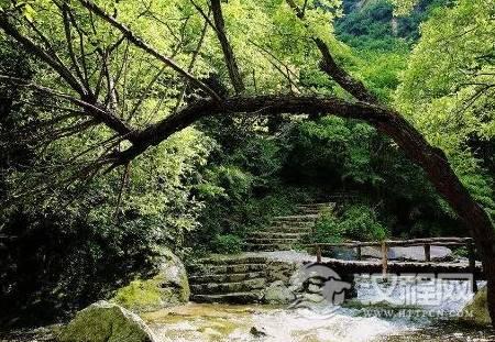 1562991059318398.png image.png