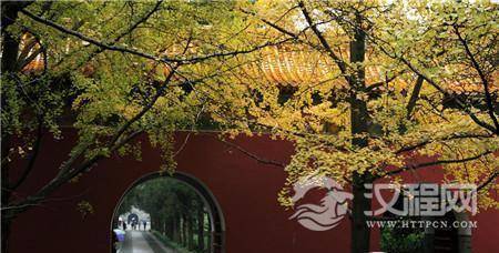 1484015842683926.jpg 31412e686ef748cb97450663a1450816.jpg