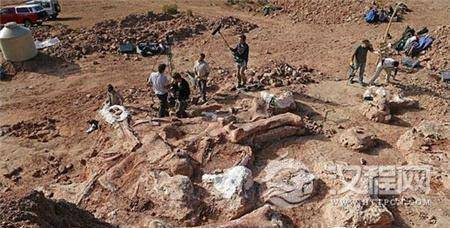 1490002022840118.jpg QQ截图20170320172806_副本.jpg