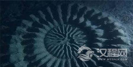 1484809473522720.jpg 816caecf179940e4b5ffd8a743568732_th.jpg