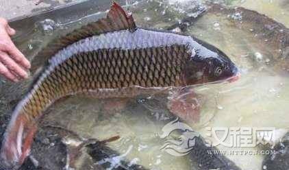 1516938189668776.png blob.png