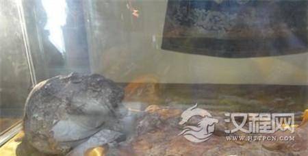 1502438456985804.jpg 1.jpg