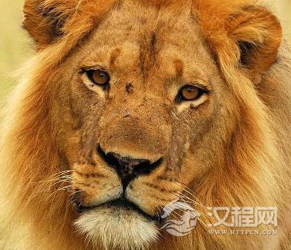 1594599171138520.png image.png