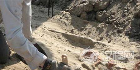 1490597798705952.jpg 501225148.jpg@100q.jpg