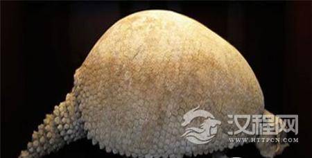 1489398398979527.jpg 20141215115223426_副本.jpg