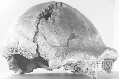 1547790081141241.png image.png