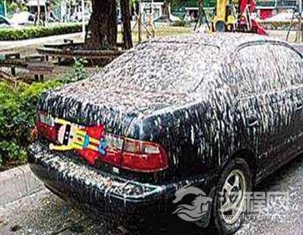 1570506764215472.png image.png