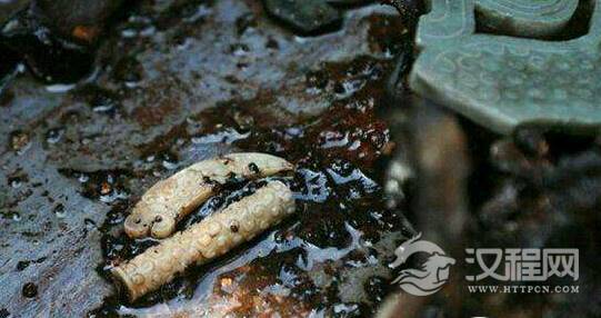 古墓中的“尸毒”存在吗 古墓中的“尸毒”存在吗