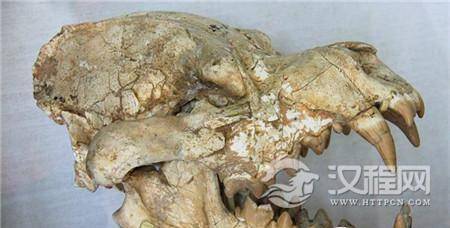 1493621305727259.jpg 484000694c50ae730a6.jpg@100q.jpg