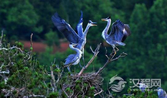 1557390769910745.png image.png