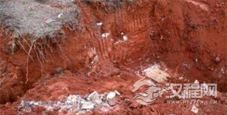 1502073381149605.jpg 608037612.jpg@100q.jpg