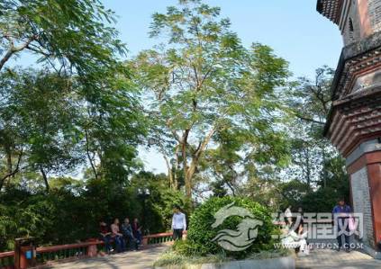 1592363461828167.png image.png