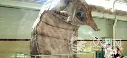 1518230243429218.png blob.png