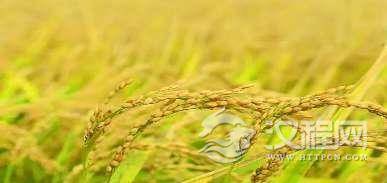 1539238615620284.png image.png