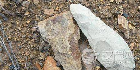 1487211616637722.jpg CF231423104.jpg